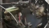 史上最可怕闹钟竟然是……