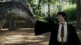 哈利与鹰头马身兽心意相通 在魔法天际自由飞翔！
