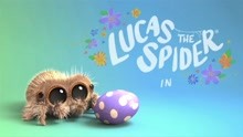 《小蜘蛛卢卡斯》趣味萌物小动画——神秘的蛋！