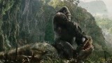 大猩猩单挑霸王龙！只为守护心上人！
