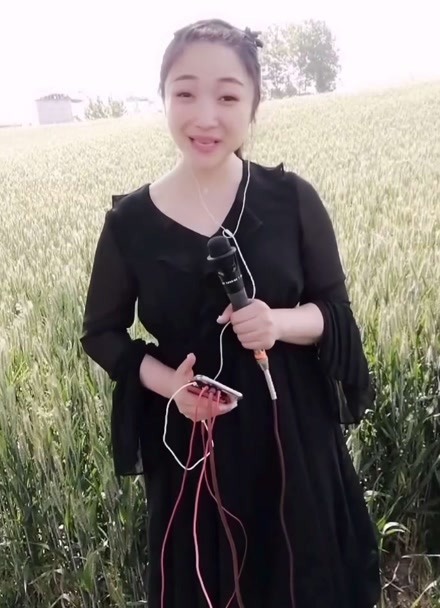 李雙雙的窪窪地裡好莊稼