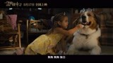 《一条狗的使命2》定档5.17预告片 萌犬贝利迎来全新使命