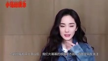 网曝杨幂避嫌拒绝与谢霆锋同录节目，为打破两人不正当关系谣言