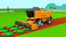 工程车益智动画 拖拉机和铲车翻斗车收获蔬菜