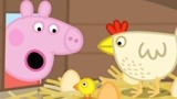 小猪佩奇-儿童游戏-第6季 ep330 小猪佩奇过大年