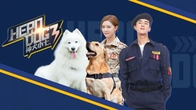 ดู ออนไลน์ น้องหมาฮีโร่ 3 Ep 1 (2020) ซับไทย พากย์ ไทย