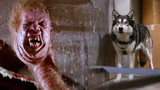 一只流浪狗带来的厄运，这部电影比《异形》还要恐怖恶心！