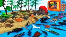 海王龙组装沙滩海洋馆和恐龙世界乐园
