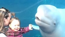 大白鲸吓唬人从未失手，没想到今天竟栽在一个小女孩手里