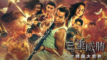 線上看 三重威脅之跨國大營救 (2019) 帶字幕 中文配音，國語版