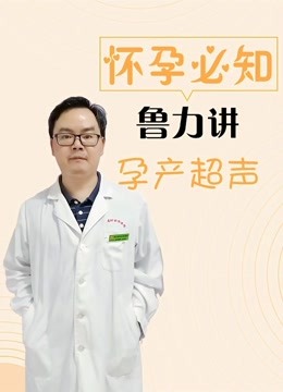 怀孕必知:鲁力讲孕产超声