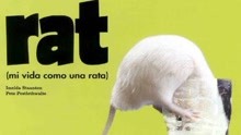  Rat (2000) 日本語字幕 英語吹き替え