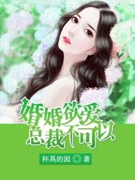 婚婚欲爱：总裁不可以