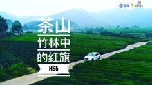 [图]茶山竹林中的红旗HS5 | 爽爽侃车