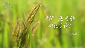 Watch the latest The Journey of Chinese Plants Episode 2 (2019) with English subtitle undefined