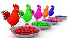 小公鸡吃彩色的糖豆变色