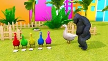 学习认识颜色 英语早教益智动画 黑猩猩营救孵蛋的鸭子 