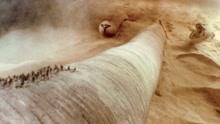 沙漠中暗藏恐怖沙虫，体长500米，一口就能吞噬整个矿场！