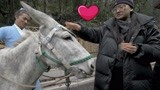 《恋恋江湖》当导演“爱”上驴