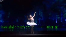 G20文艺晚会，芭蕾舞《天鹅湖》，简直惊艳全场  