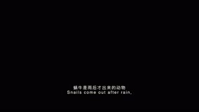 线上看 勒是雾都 第10集 (2019) 带字幕 中文配音