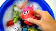 教你认识龙虾科动物通称的龙虾玩具