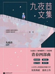 九夜茴文集