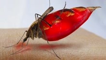 蚊子吸了艾滋病人的血，再叮健康人一口，会被传染疾病吗？