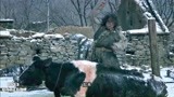 斗牛：奶牛战场保护牛二，牛二大难不死，带着牛跑路了