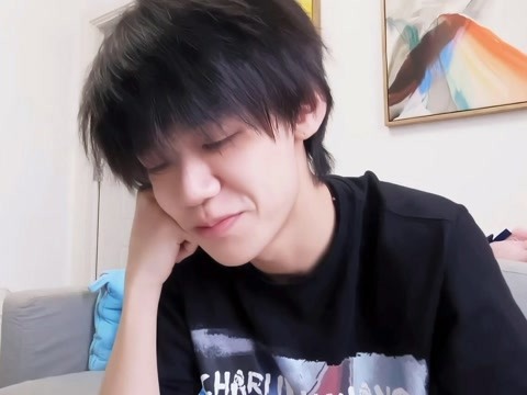 陈一辰の泡泡vlog:小陈同学的个人手册