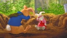 彼得兔搞笑：两只兔子挖这么大的坑做什么？
