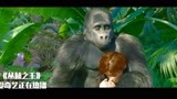 丛林之王：男孩和家人走散，大猩猩发现了他，把他抱在怀里