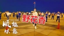 [图]火热情歌广场舞《野花香》劲爆动感DJ，火辣辣的情感醉美心扉