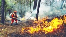 云南丽江发生森林火灾 上千人参与扑救