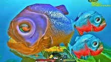紫光食人鱼VS机械食人鱼