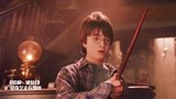 哈利波特与魔法石：初见对角巷，哈利得到属于自己的魔杖