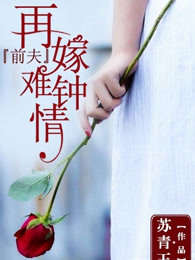 前夫，再嫁难钟情