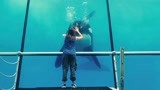 锈与骨：美女重返海洋馆，和海豚无声的交流，看得我泪目
