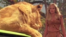 小女孩在丛林里长大，学会了与动物交流，狮子都很听她话