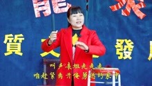 [图]河南坠子《白马传御状》，金文忠带表姐私奔，贼武举紧紧追赶！