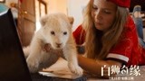 电影《白狮奇缘》发布终极预告 珍稀白狮带你感受震撼自然力量