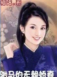 驸马的无赖娇妻