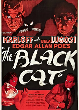 Watch the latest Black Cat (1991) online with English subtitle for free English Subtitle