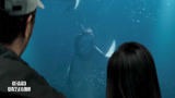巨齿鲨：鲸鱼发出求救声，人们不管不顾，这下都惨了