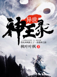 异世神王录