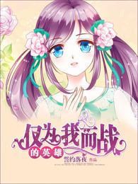 仅为我而战的英雄