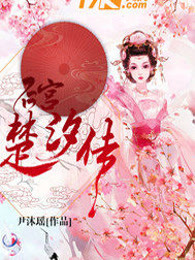后宫楚汐传