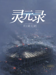 灵元录