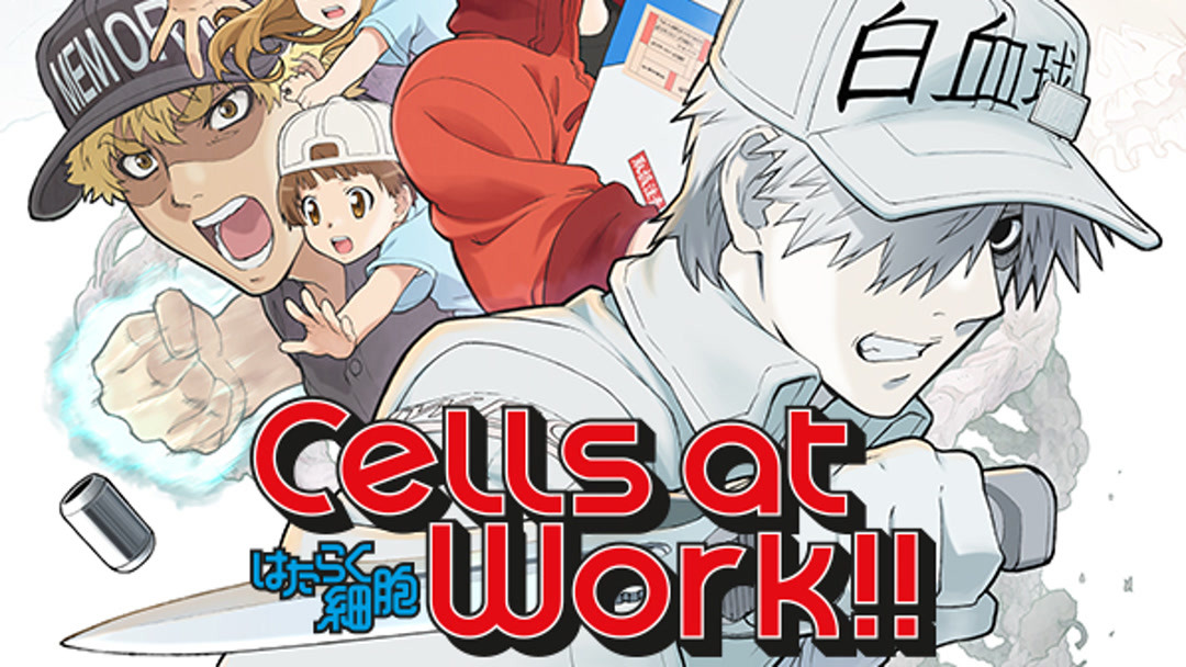 Assistir Hataraku Saibou (Cells at Work!) Episódio 001 Online