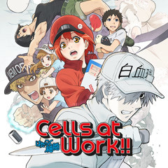 Watch the latest Cells at Work! S2 Episode 2 online with English subtitle  for free – iQIYI
